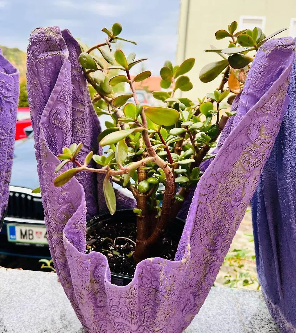 Mira Apartman Póla