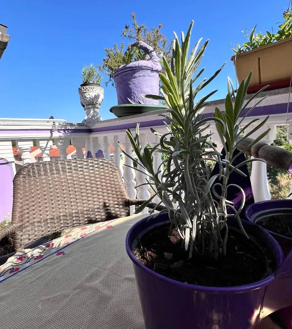 Mira Apartman Póla 0*,